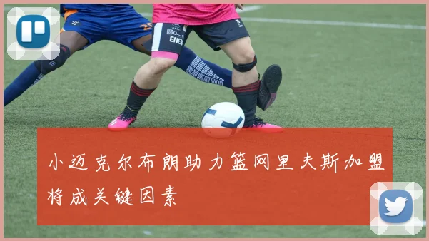 小迈克尔布朗助力篮网里夫斯加盟将成关键因素